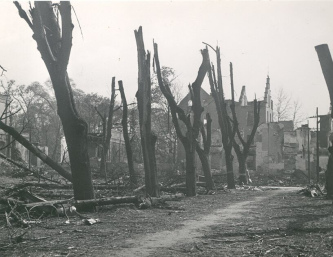 Seufzerallee und das K�nstlerzentrum
                "Malkasten" nach dem Grossangriff vom 23.
                September 1944