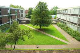 Gymnasium Andreanum
                        im toten, viereckigen Baustil, 2000 ca.