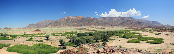 Der
                        Brandberg in S�dafrika, Panorama
