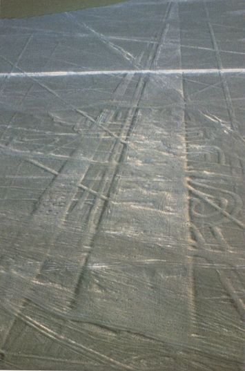 Nasca-Linie, eine Piste liegt über
einer Figur Nasca-Linie, eine Piste liegt über
einer Figur