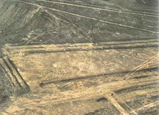 Pisten von Palpa, eine Piste mit
Treppenstufen am Anfang (02) Pisten von Palpa, eine
Piste mit Treppenstufen am Anfang (02)