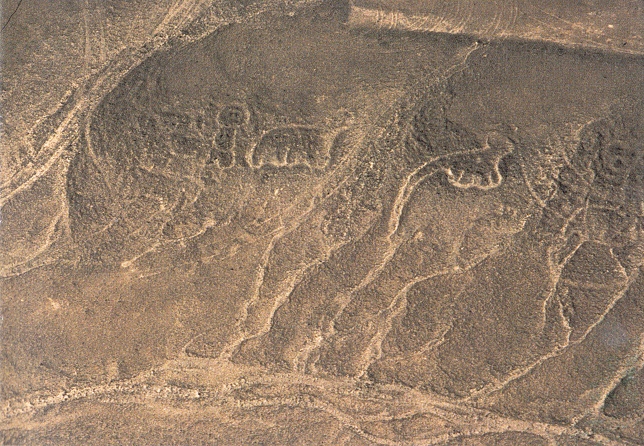 Region Palpa, Geoglyphen mit
              Tierfiguren