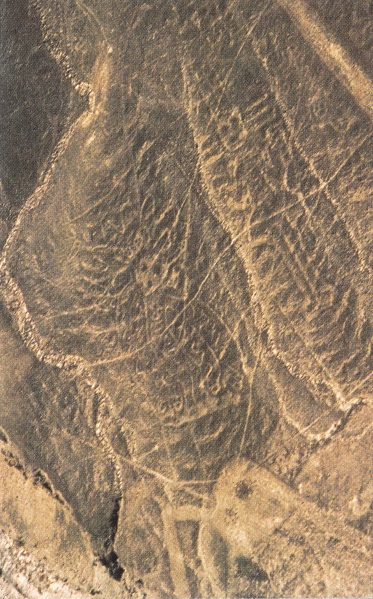 Region Palpa, Geoglyphenfiguren mit
              mausartigem Spitzgesicht (links) und mit neun Antennen
              (rechts)