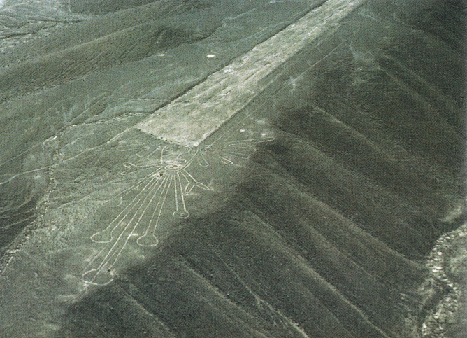 Region Palpa, gek�pfter Berg mit
              einer Piste auf einer Blume 01