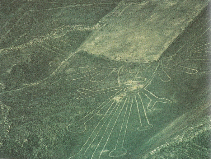 Region Palpa,
              gek�pfter Berg mit einer Piste auf einer Blume 02,
              Nahaufnahme