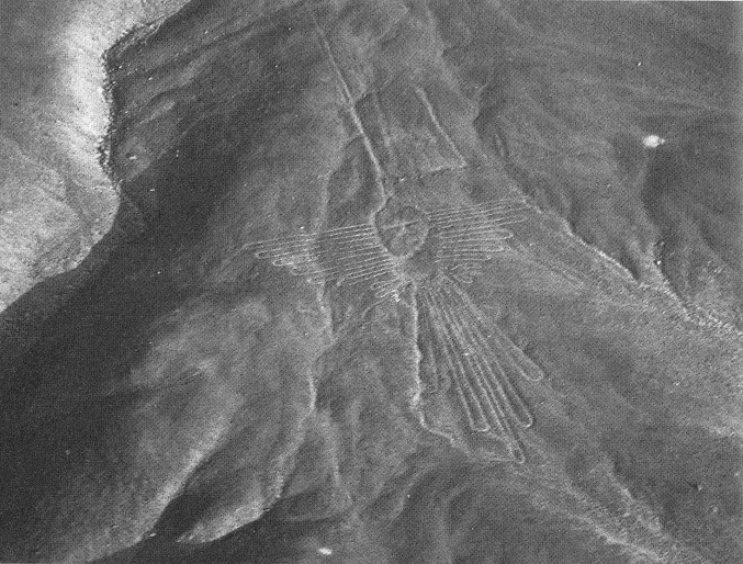 Kolibri-Geoglyph mit einem Flugzeug
              in der Mitte