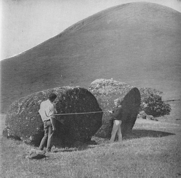 Chile, isla de Pascua, sombreros
              gigantes