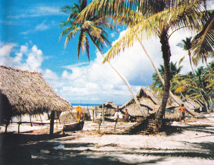 Tarawa, casa con palmera