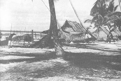 Casa de ind�genas en
                      el atol�n de Tarawa, Kiribati