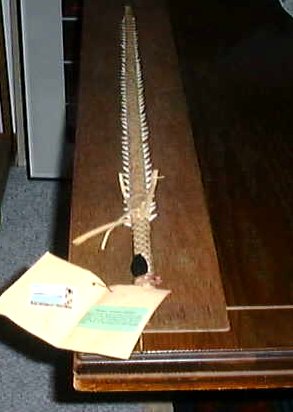 Espada con dientes de
                      tibur�n de Arorae