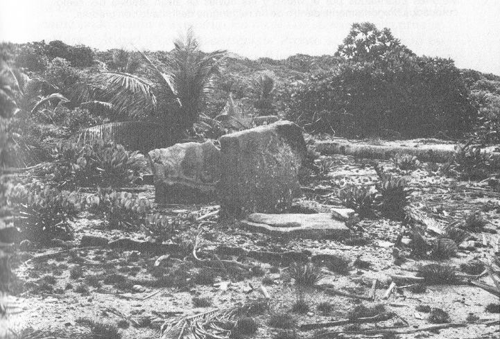 Isla Arorae, campo con
                      monolitos al lado de las piedras de navegaci�n