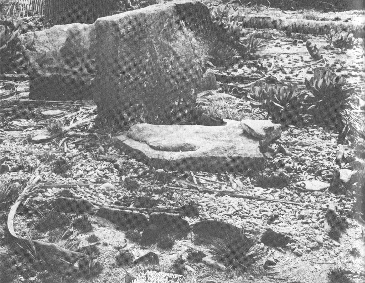 Isla Arorae, campo con
                      monolitos al lado de las piedras de navegaci�n,
                      primer plano