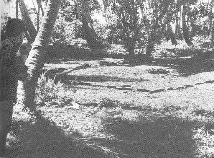 El c�rculo sagrado en el norte del
              atol�n de Tarawa en Kiribati