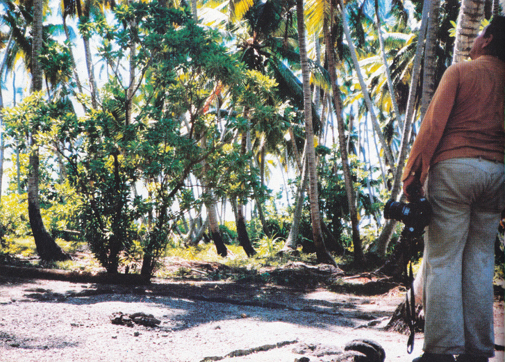 El c�rculo
              sagrado en el norte del atol�n de Tarawa en Kiribati en
              color