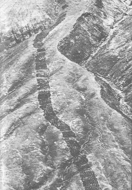 La pista de agujeros (pista de
              huecos, franja de agujeros) en la regi�n de Pisco, vista
              a�rea 02