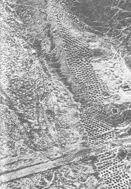 La pista de agujeros (pista de
              huecos, franja de agujeros) en la regi�n de Pisco, vista
              a�rea 03