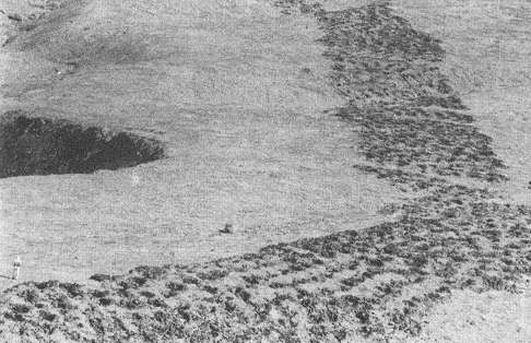 La pista de agujeros (pista de
              huecos, franja de agujeros) en la regi�n de Pisco, vista
              a�rea 04