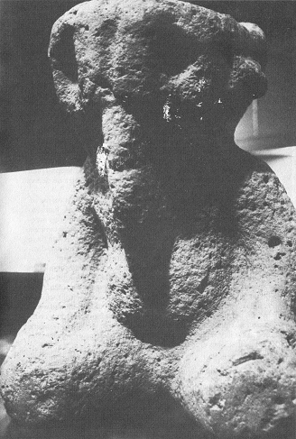 M�xico, museo antropol�gico, figura
              con una cabeza de elefante