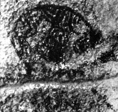 Dibujo
                        rupestre en las monta�as de Tassili en el
                        Sahara
