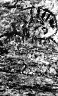 Otro astronauta vecino en las
                                    monta�as de Tassili, Sahara