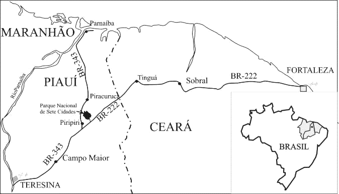 Mapa con la posici�n del Parque
                            Nacional de Siete Ciudades en Brasil en la
                            provincia de Piaui