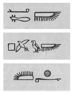 Jerogl�ficos
                        "quiero volar" con alas, un p�jaro, un
                        sol etc.