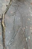 Monta�as Azules, grabaci�n de un
                            canguro