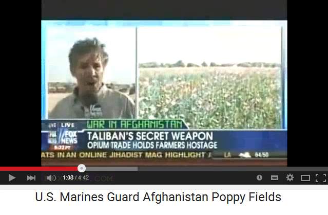 Las tropas
                              "estadounidenses" de la OTAN
                              vigilan la producción de drogas en
                              Afganistán (U.S. Marines Guard Afghanistan
                              Poppy Fields)