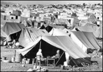 Pal�stinensisches
                        Fl�chtlingslager 1952, Beispiel 02