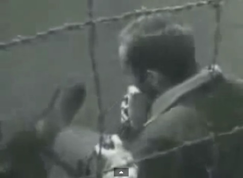 Eso NO es
                    un jud�o pero es un soldado alem�n con el uniforme
                    gris de la Wehrmacht. Aqu� est� comiendo un pan
                    detr�s de un cerco de alambre espinoso
                    (2min.23seg.)