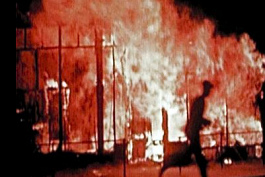 mass murders against the German
                  civil population with a real Holocaust committed with
                  fire storms e.g. in Hamburg 1943 - by the British
                  (Churchill and Harris) and the "Americans"
                  (Eisenhower)