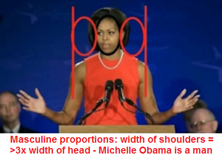 Michael Obama ("Michelle Obama)
                              hat die m�nnlichen Schultern mit der
                              3-fachen Kopfbreite