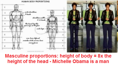 Michael Obama ("Michelle
                              Obama") hat die m�nnliche
                              K�rperl�nge, die 8mal der Kopfl�nge
                              entspricht