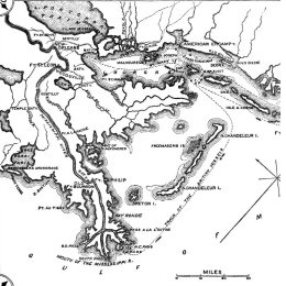 Nueva Orleans con el delta del
                                  Mississippi en 1812