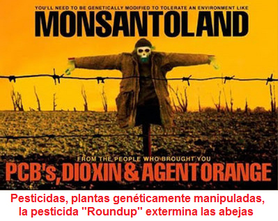 Vete
                            "EUA": Monsanto mata en todo el
                            mundo con PCB, dioxinas, Agente Naranja
                            (Agent Orange), pesticidas, plantas
                            genticamente manipuladas, la pesticida
                            "Roundup" p.e. extermina las
                            abejas etc.