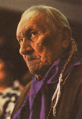 Lakota-F�hrer Frank Fools
                  Crow, Portrait