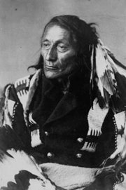 H�uptling
                  Kr�henfuss ("Crowfoot"), Portrait von 1887