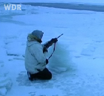 Eskimos, Robbenjagd am fr�hen
                          Morgen in Alaska