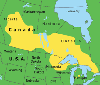 Karte der Prim�rnation der Ojibwa /
                          Ojibwe
