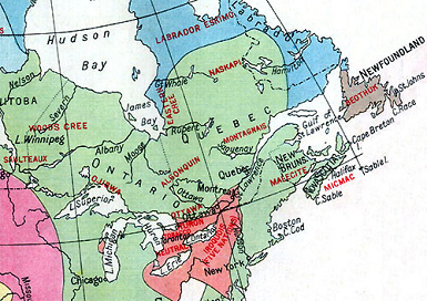 Karte der Prim�rsprachen in Ostkanada
                              mit den Naskapi ganz oben, ausserdemmit
                              den Woods Cree, Eastern Cree, Saulteaux,
                              Ojibwa, Algonquin, Montagnais, Ottawa,
                              Huron, Tobacco, Neutral, Iroquois (5
                              Nationen), Malecite, Micmac und Beothuk,
                              sowie die Labrador Eskimos
