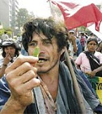 Kokabauer (2006) demonstriert gegen die
Kriminalisierung durch die dumme "USA". Kokabauer (2006) demonstriert gegen die
Kriminalisierung durch die dumme "USA".