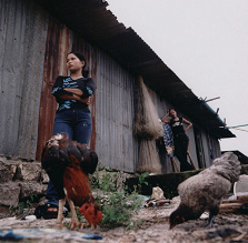 Insel Koh
                                  Kong, Sklavenbordell
                                  "H�hnerstall" ("chicken
                                  farm"), jugendliche M�dchen