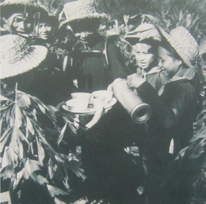 Vietnamkrieg: Kinder besuchen die Front: Kinder besuchten das Schlachtfeld, wo von den Truppen von Hoang Truong, Hoang Hoa und Thanh Hoa "amerikanische" Flugzeuge abgeschossen worden waren.