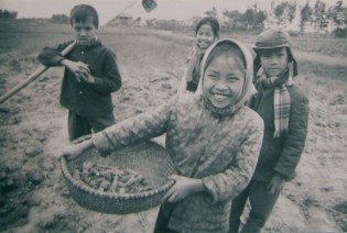 Kinder im Vietnamkrieg bei der Feldarbeit nach der Schule