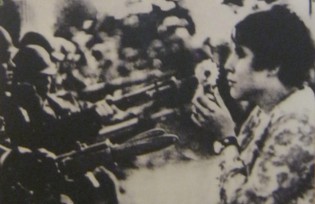 Eine Blume ist st�rker als alle Waffen