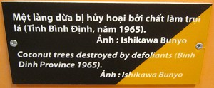 Vietnam: Durch Agent Orange entlaubte Kokospalmen in der Provinz Binh Dinh, Text: Durch Entlaubungsmittel zerstrte Kokospalmen (Provinz Binh Dinh, 1965)
