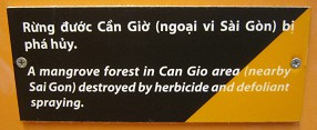 Vietnam: Entlaubter Mangrovenwald in der Region Can Gio bei Saigon, Text: Ein Mangrovenwald in der Gegend von Can Gio (bei Saigon), zerstrt durch das Sprayen von Herbiziden und Entlaubungsmitteln