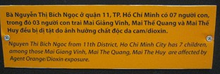 Drei Agent-Orange-Opfer, Text: Nguyen Thi Bich Ngoc vom Distrikt Nr. 11, Saigon (Ho Chi Minh-Stadt), hat 7 Kinder, davon sind drei durch die Aussetzung von Agent Orange / Dioxin gesch�digt: Mai Giang Vinh, Mai The Quang und Mai The Huy.