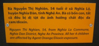 Vier Agent-Orange-Opfer, Text: [Die Mutter] Nguyen Thi Nghien (54 Jahre) aus der Gemeinde Nghia Lo, Distrikt Nghia Dan, Provinz Nghe An. Alle ihre 4 Kinder sind durch die Aussetzung von Agent Orange / Dioxin betroffen.