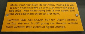 Agent-Orange-Opfer Korea-Veteran, Text: Der Vietnamkrieg ging zu Ende, aber f�r die Agent-Orange-Opfer ist dieser Krieg nie zu Ende. Hier ein koreanischer Veteran aus dem Vietnamkrieg, auch ein Agent-Orange-Opfer
